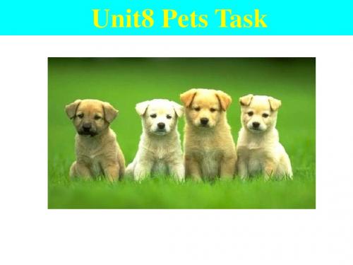 牛津译林版7B Unit8 Pets Task课件(共20张PPT)