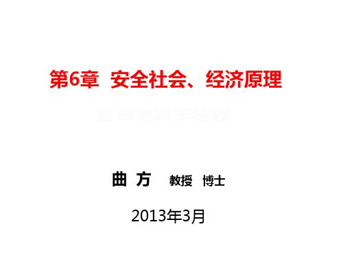 第6章 安全社会经济原理(5 安全投入与产出分析)(2013)