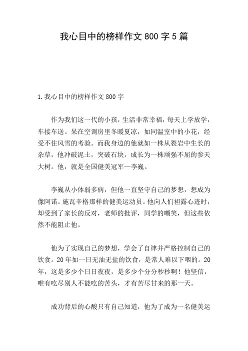 我心目中的榜样作文800字5篇