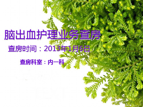 脑出血护理业务查房
