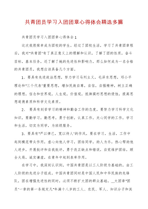 共青团员学习入团团章心得体会精选多篇