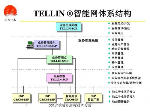 SSCP功能和开局实例