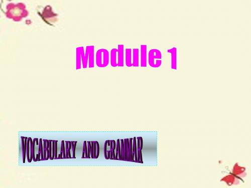外研版高中英语必修5 Module 1《British and American English》ppt课件5
