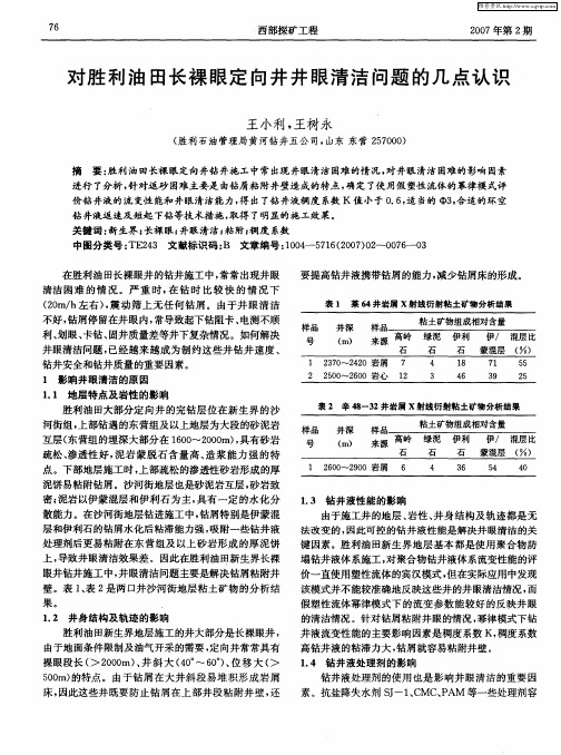 对胜利油田长裸眼定向井井眼清洁问题的几点认识