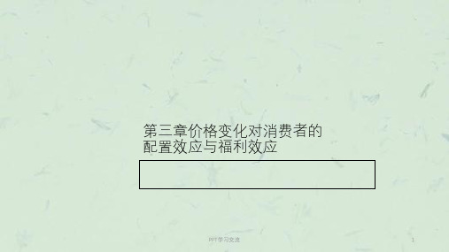 价格变化对消费者的配置效应与福利分析课件