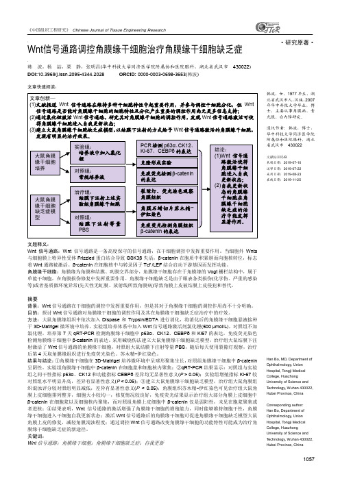 Wnt信号通路调控角膜缘干细胞治疗角膜缘干细胞缺乏症