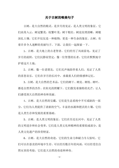 关于古树的唯美句子