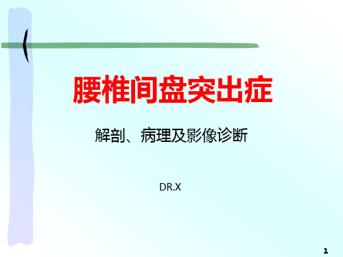 腰椎间盘突出症解剖病理及影像诊断PPT课件