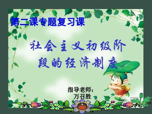 社会主义初级阶段的经济制度.ppt