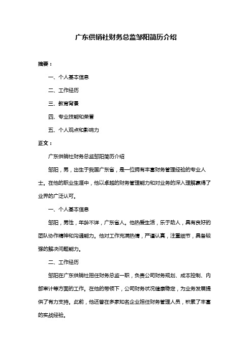 广东供销社财务总监邹阳简历介绍