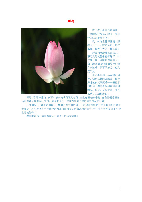 初中语文文学讨论美文荐读雨荷