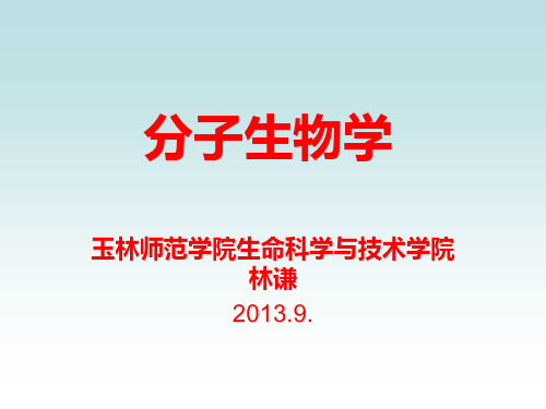 DNA的损伤、修复和突变