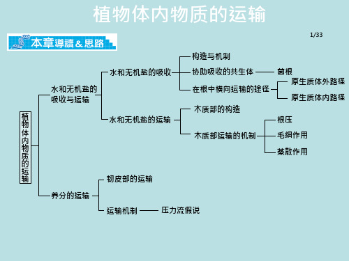 水与无机盐类的吸收与运输