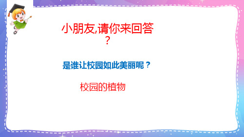 人教鄂教版小学科学一下-【3 观察校园里的植物 课件(17张PPT)】