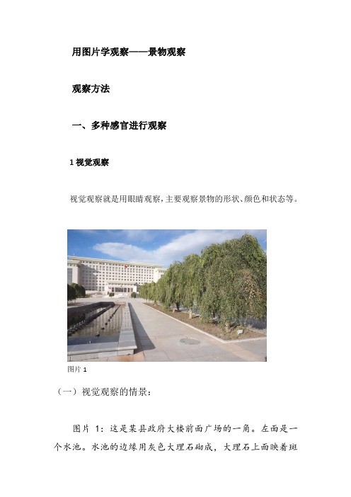 用图片学观察观察方法1