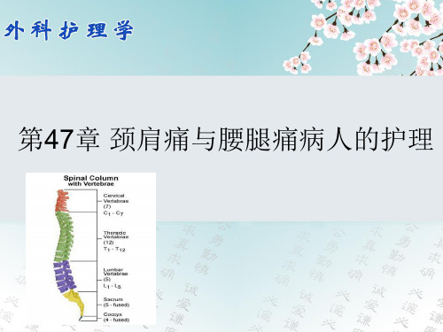 第47章_颈肩痛与腰腿痛病人的护理