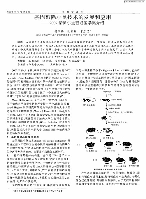 基因敲除小鼠技术的发展和应用——2007诺贝尔生理或医学奖介绍