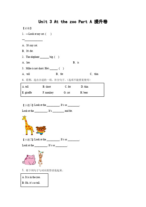 小学英语三年级下册巩固卷-人教PEP版 (24)