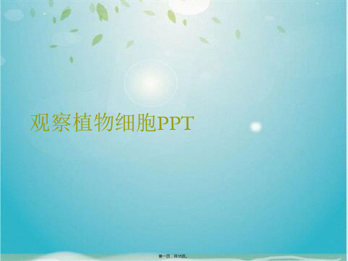 观察植物细胞PPT(共15张PPT)