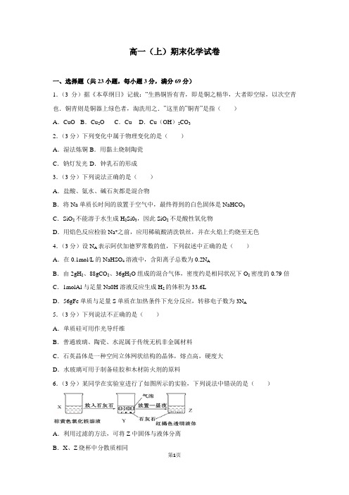 高中化学  高一上期末考试试卷含答案解析版2