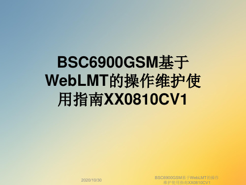 BSC6900GSM基于WebLMT的操作维护使用指南XX0810CV1