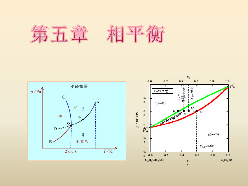 第五章 多相平衡-2003版