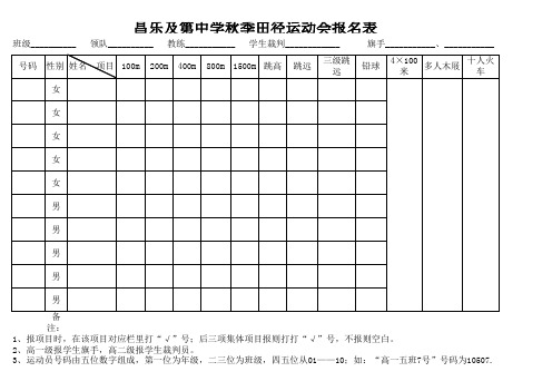 运动会项目竞赛表格