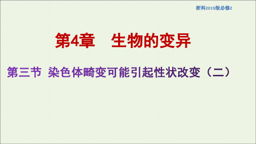 高中生物第四章生物的变异第三节染色体畸变可能引起性状改变课件3浙科版必修2