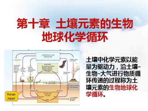 第十章土壤元素的生物地球化学循环PPT课件