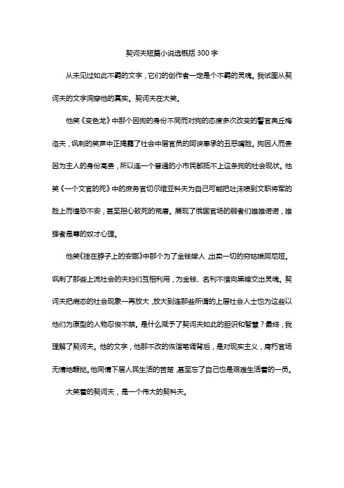 契诃夫短篇小说选概括300字