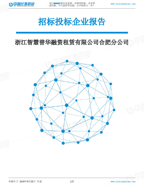 浙江智慧普华融资租赁有限公司合肥分公司_中标190925