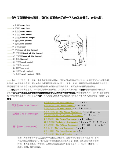 国际音标分类