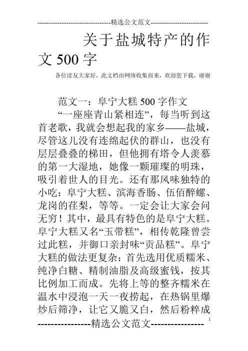 关于盐城特产的作文500字