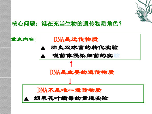 人教版高中生物必修二第三章第2节《DNA分子的结构》优秀课件(48张)(共48张PPT)