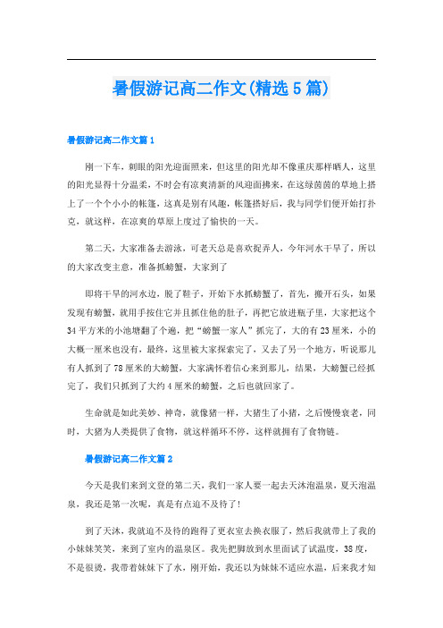 暑假游记高二作文(精选5篇)