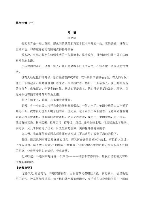 新课标高考复习作文写作专题第九章掌握叙事的方法教案