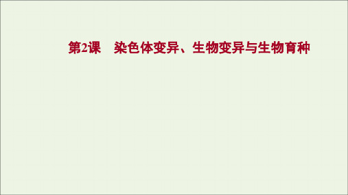 2022版高考生物一轮复习第七单元生物的变异育种与进化第2课染色体变异生物变异与生物育种课件新人教版
