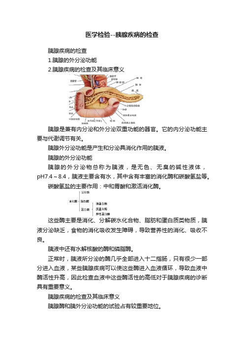 医学检验--胰腺疾病的检查