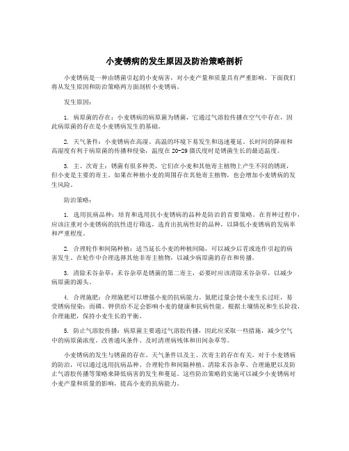 小麦锈病的发生原因及防治策略剖析