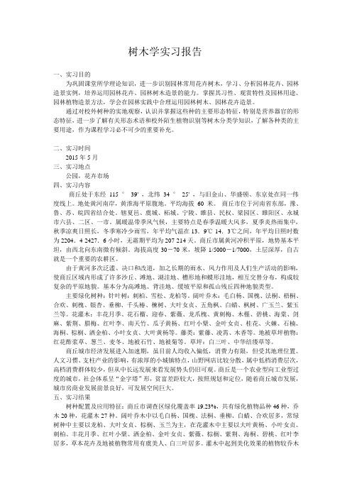 树木学实习报告