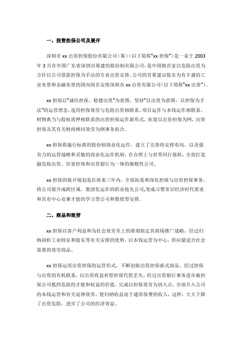 某投资担保公司创业商业计划书范文