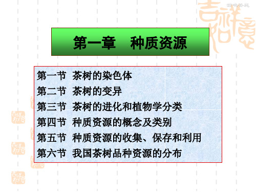 茶树育种学Chapter-01第一章  种质资源