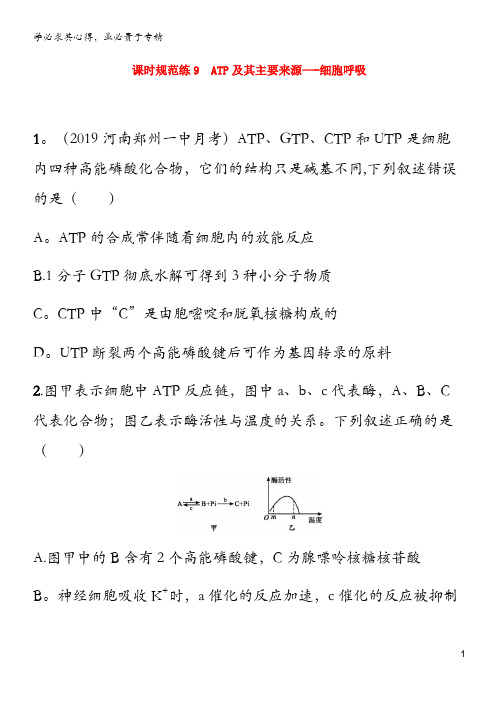 2021版高考生物一轮复习 课时规范练9 ATP及其主要来源——细胞呼吸(含解析)