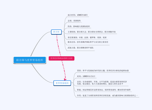 思维导图第20课  联合国以世界贸易组织