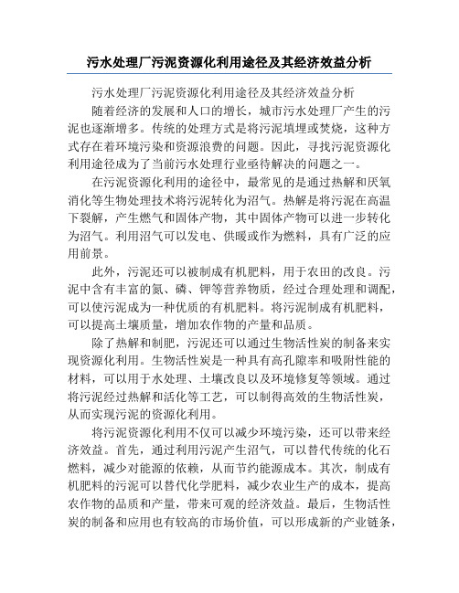 污水处理厂污泥资源化利用途径及其经济效益分析