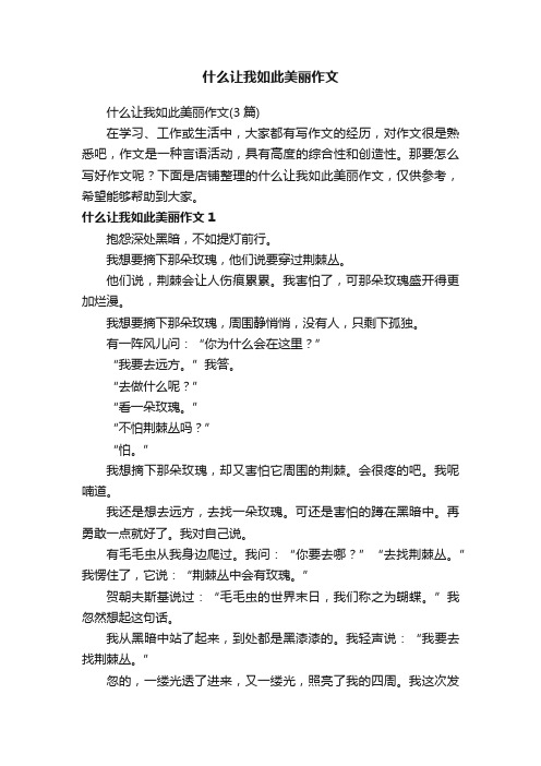 什么让我如此美丽作文