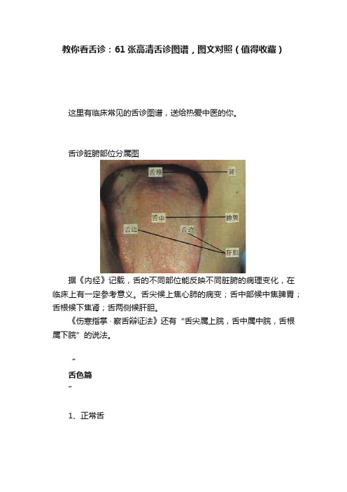 教你看舌诊：61张高清舌诊图谱，图文对照（值得收藏）