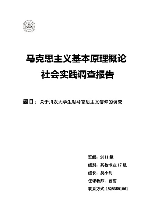 马克思主义信仰状况的调查报告