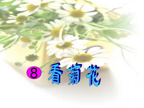 苏教版一年级上册语文_8_看菊花