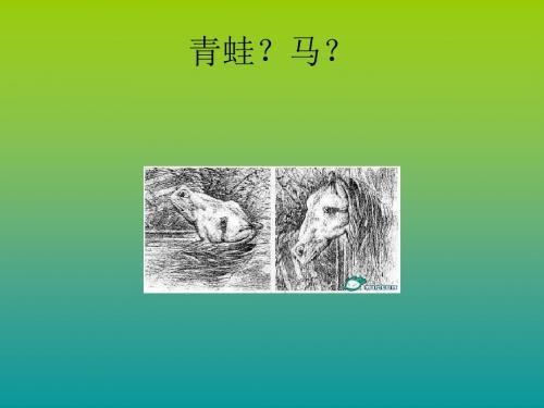 四年级数学下册《观察物体》课件(青岛版)